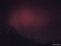 IMG_20231105_191632.jpg