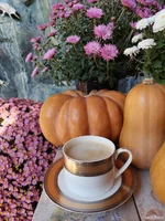 IMG_20231111_103055_312.webp