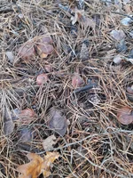 20231107_110820.jpg