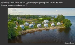 1699805931935.webp