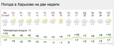 .webp