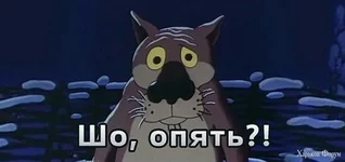 1456902184908594.webp