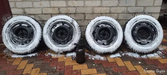 20231119_113058.webp