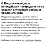 20231124_154559.webp