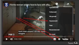 Screenshot_12=-9.webp