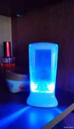 IMG_20231130_124850.jpg