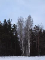 IMGA0161.jpg