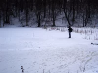 22-P2029206.webp