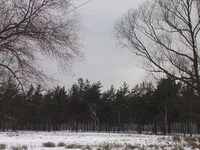 IMGA0123.jpg