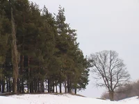IMGA0174.webp