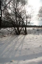 IMG_0190.webp
