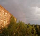  001 копия.webp