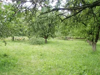  018 копия.webp