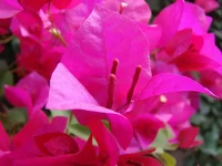 DSC04917.webp