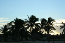 IMG_0476.webp