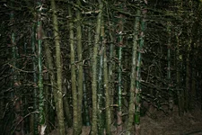 IMG_0627.webp