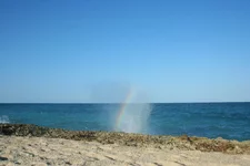 IMG_1004.webp