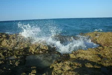 IMG_1042.webp