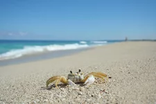 IMG_1700.webp