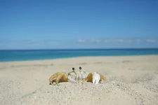 IMG_1692.webp