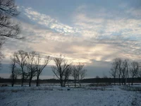 P1000402.webp