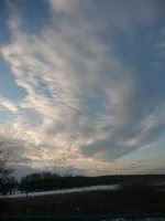 P1000406.webp
