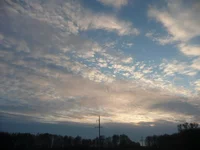 P1000407.webp