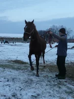 P1000414.webp