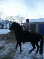 P1000425.webp
