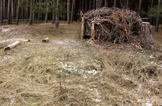 IMG_5091_web.jpg