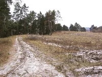 IMG_5079_web.jpg