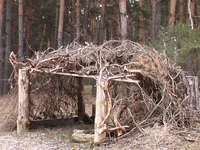 IMGA0220.jpg