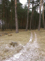 IMG_5103_web.jpg