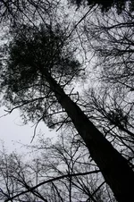 IMG_0817.webp