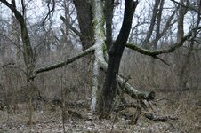IMG_0837.JPG