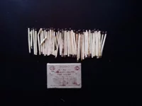 DSC00030.webp