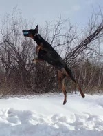 DSCF6617.webp