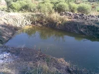 2011 08 28 2.jpg