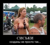 x_4e7be24f.webp