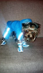 2012-03-01-179.jpg