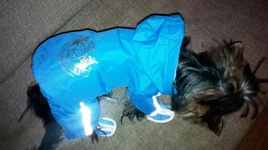 2012-03-01-184.jpg
