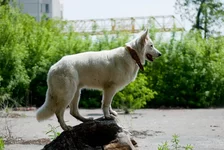 may2010_pss_web-33.webp