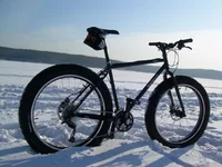 f_302948.webp