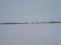 DSC00906.jpg
