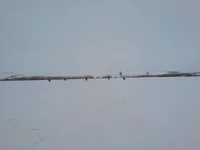 DSC00906.webp