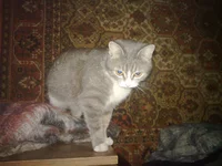03032012135.webp