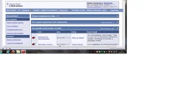 13.webp