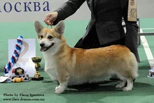 1058.webp