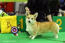 003f6284e92d.webp