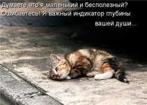 x_c8318d6c.jpg